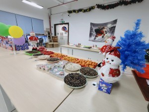 “多國風(fēng)采,、別具風(fēng)格”的的圣誕節(jié)活動